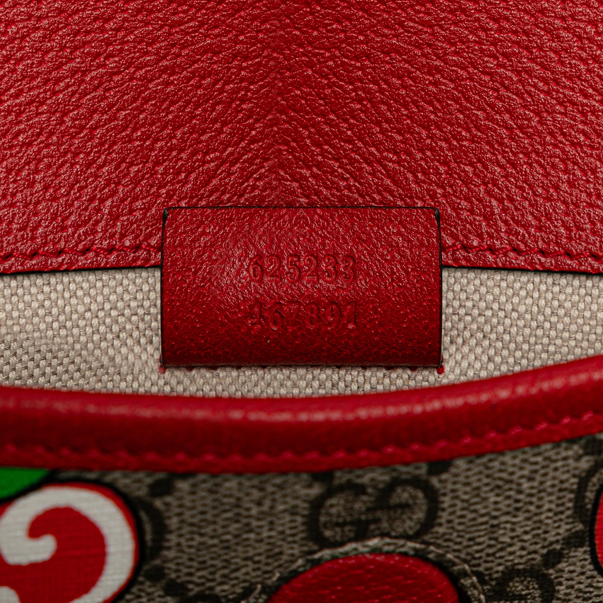 GG Supreme Apple Belt Bag_6