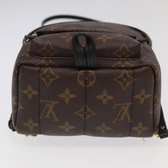Louis Vuitton Palm Springs mini