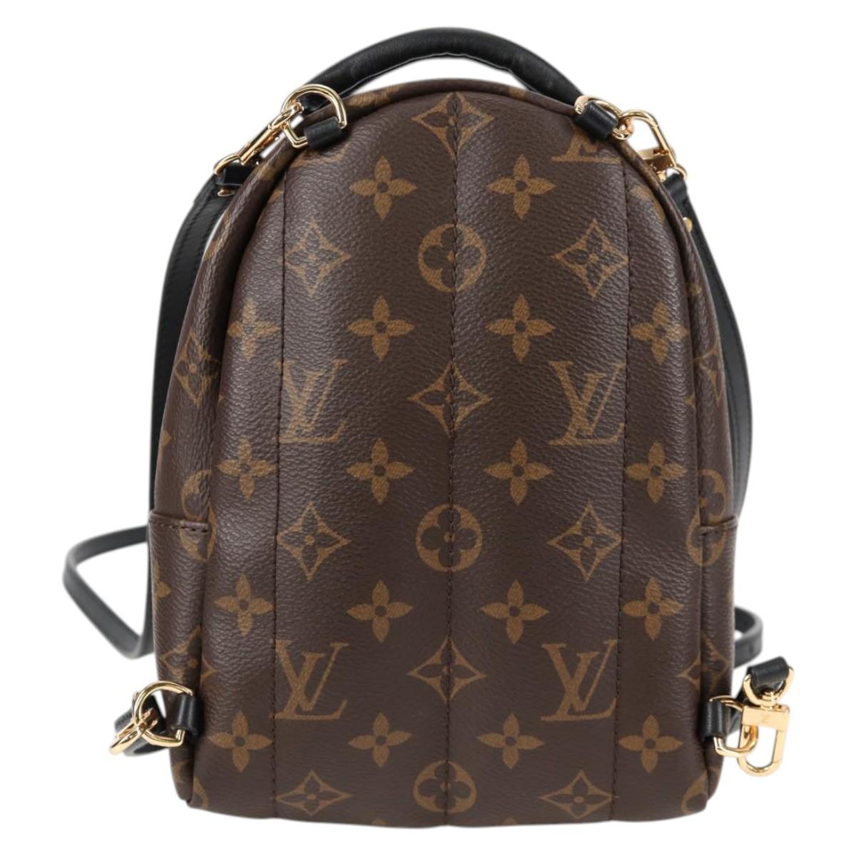 Louis Vuitton Palm Springs mini