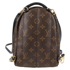 Louis Vuitton Palm Springs mini