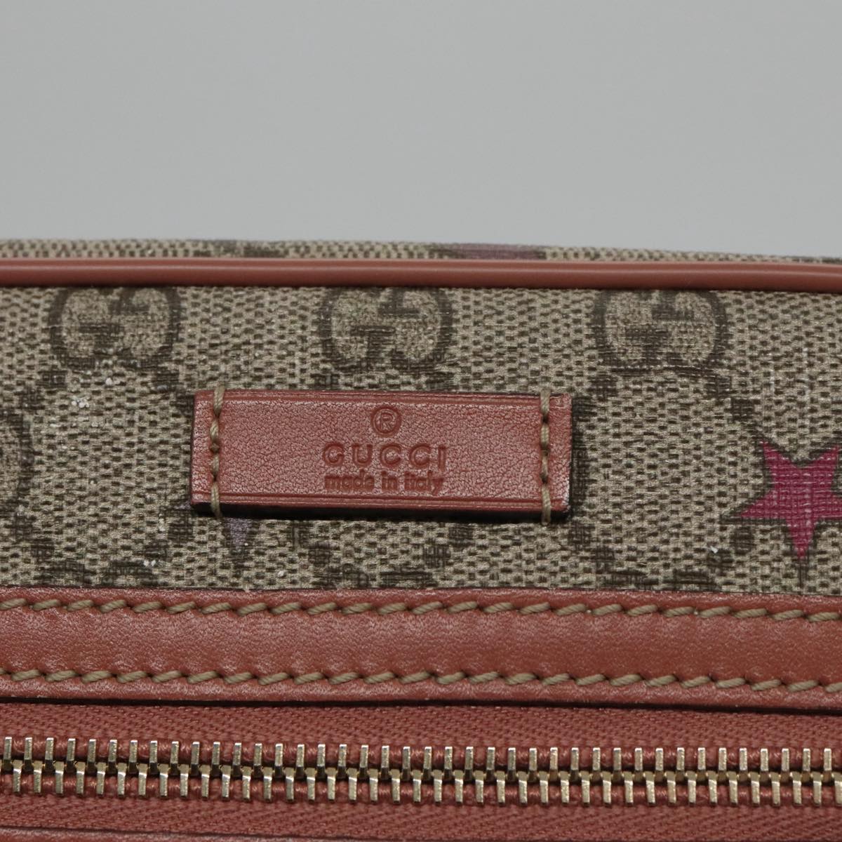 Gucci GG canvas