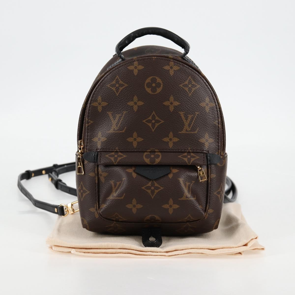 Louis Vuitton Palm Springs mini