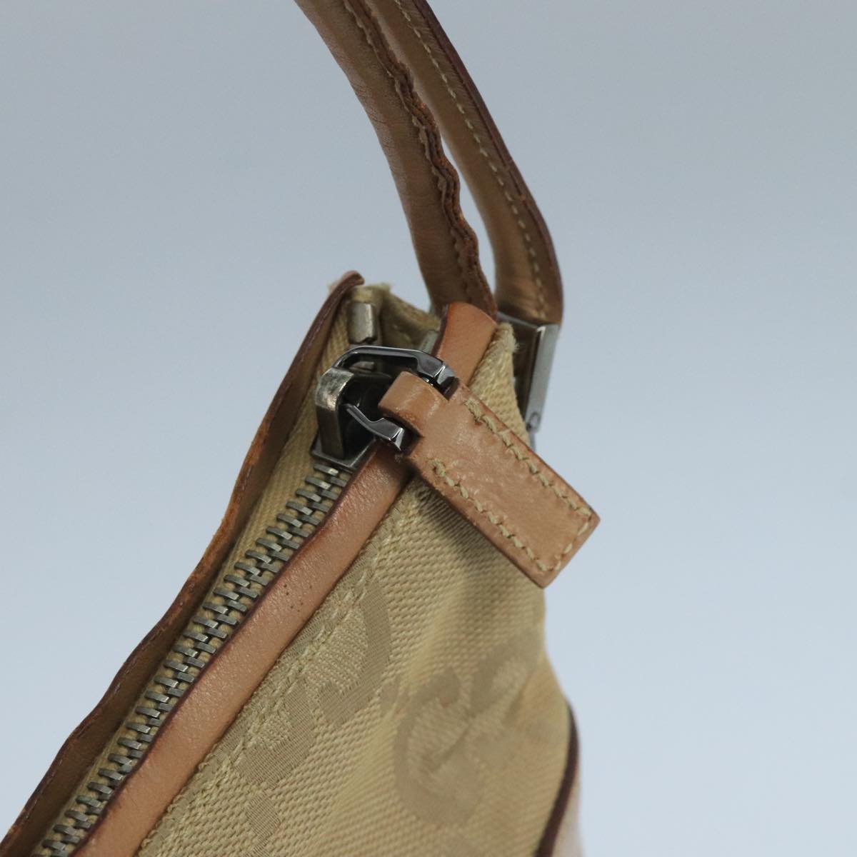 Gucci GG canvas