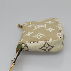 Louis Vuitton Mini Pochette Accessoires