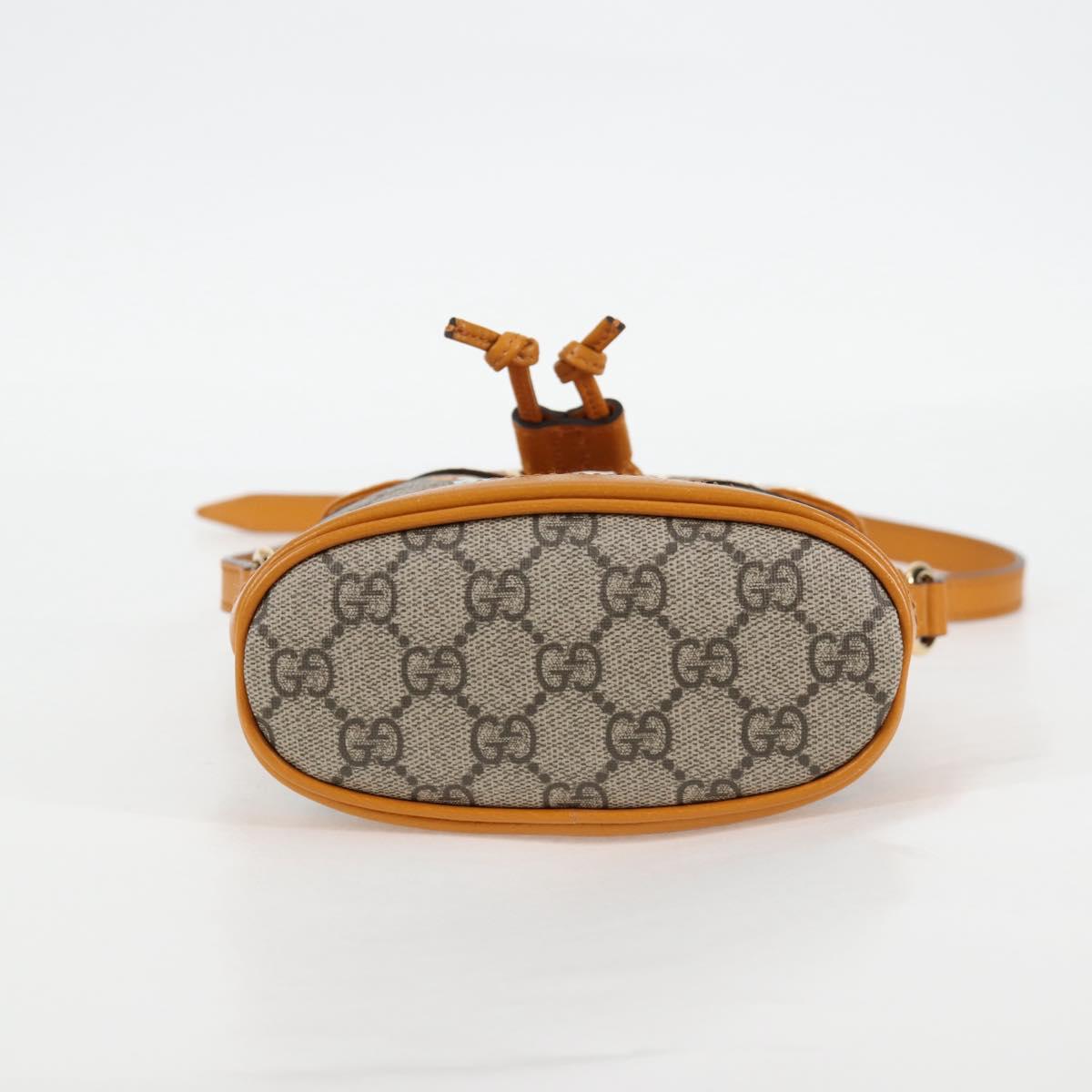 Gucci GG canvas