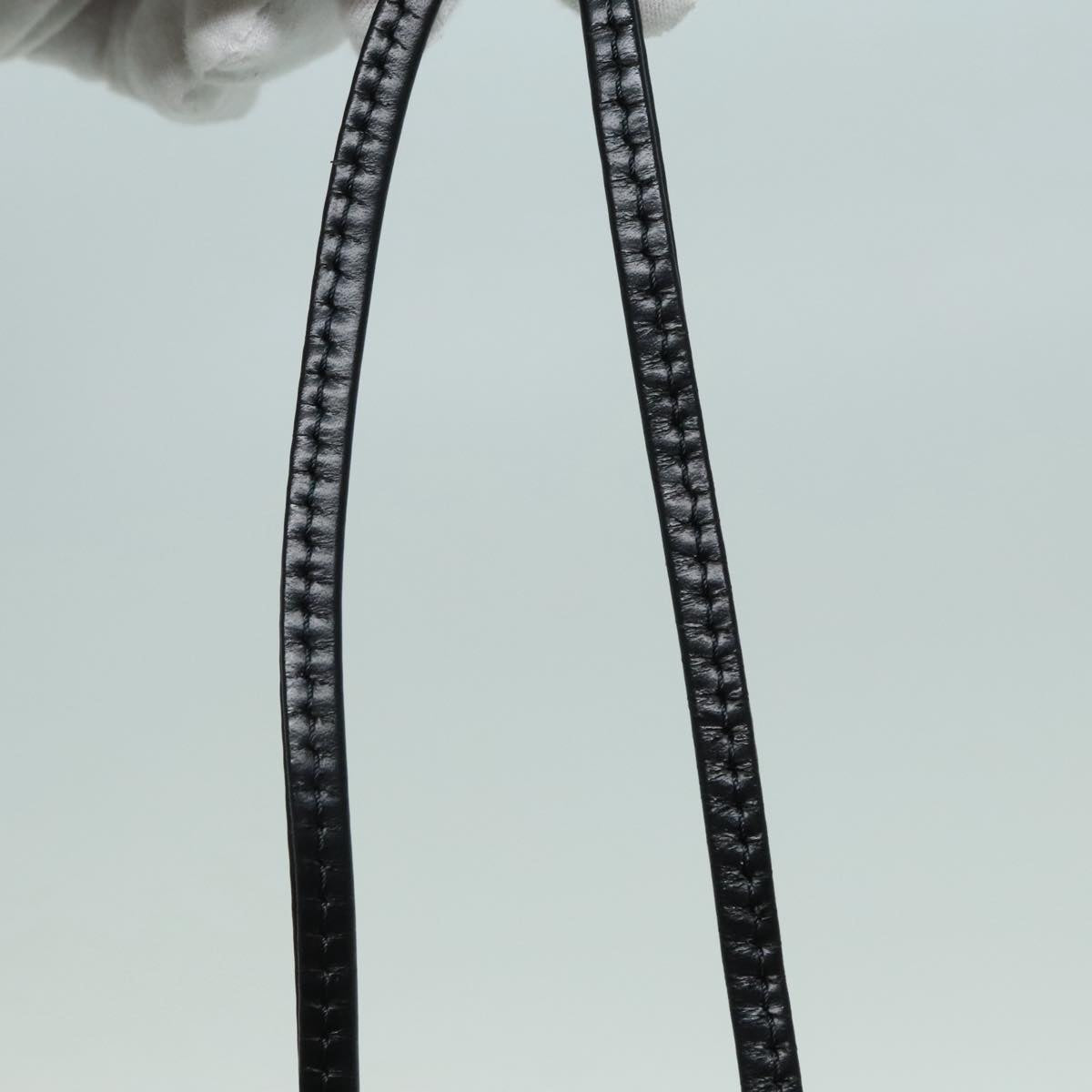 Louis Vuitton Noé