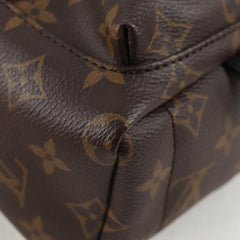 Louis Vuitton Palm Springs mini