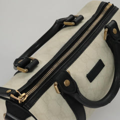 Gucci GG canvas