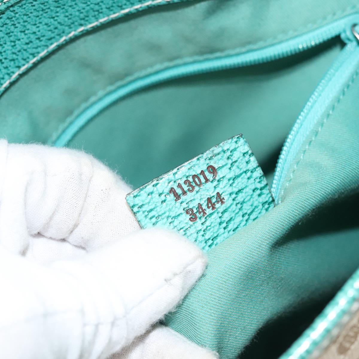 Gucci GG canvas
