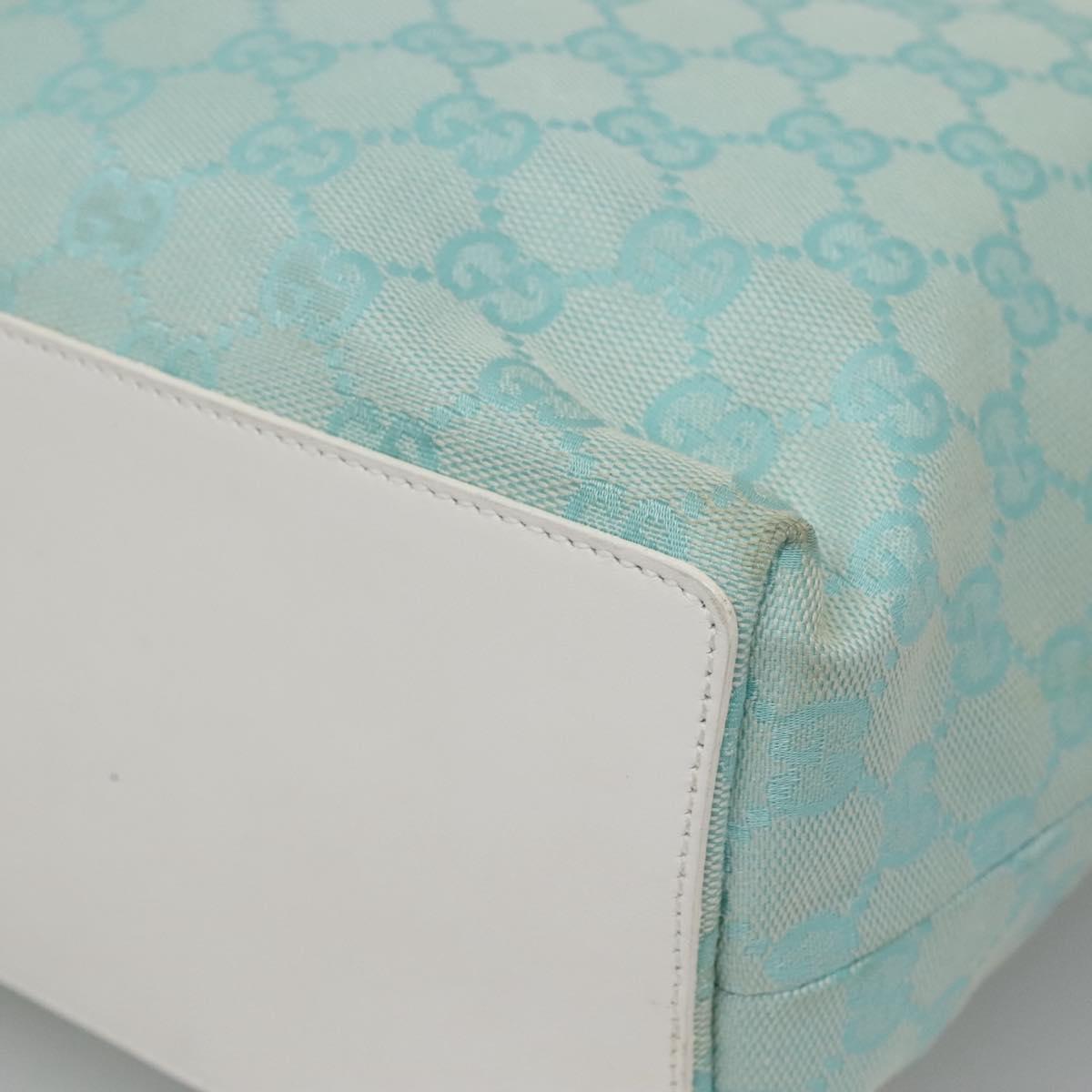 Gucci GG canvas
