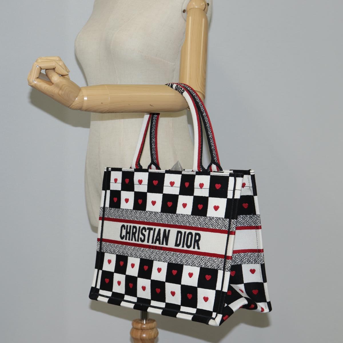 Dior Book Tote