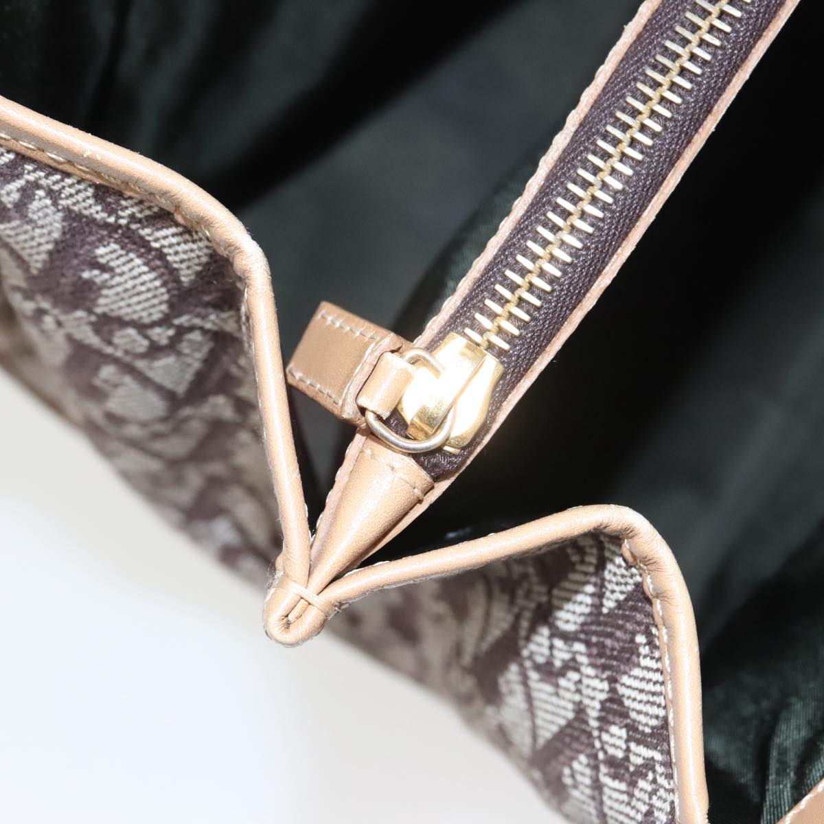 Dior Trotter
