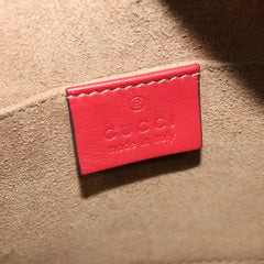 Gucci GG canvas