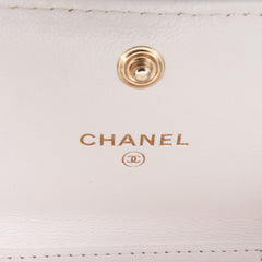 Quilted Lambskin Chanel 19 Card Holder On Chain