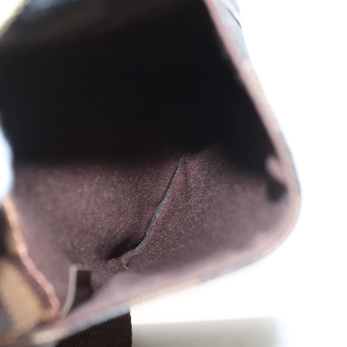 Louis Vuitton Pochette gange