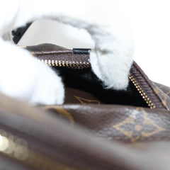 Louis Vuitton Palm Springs mini
