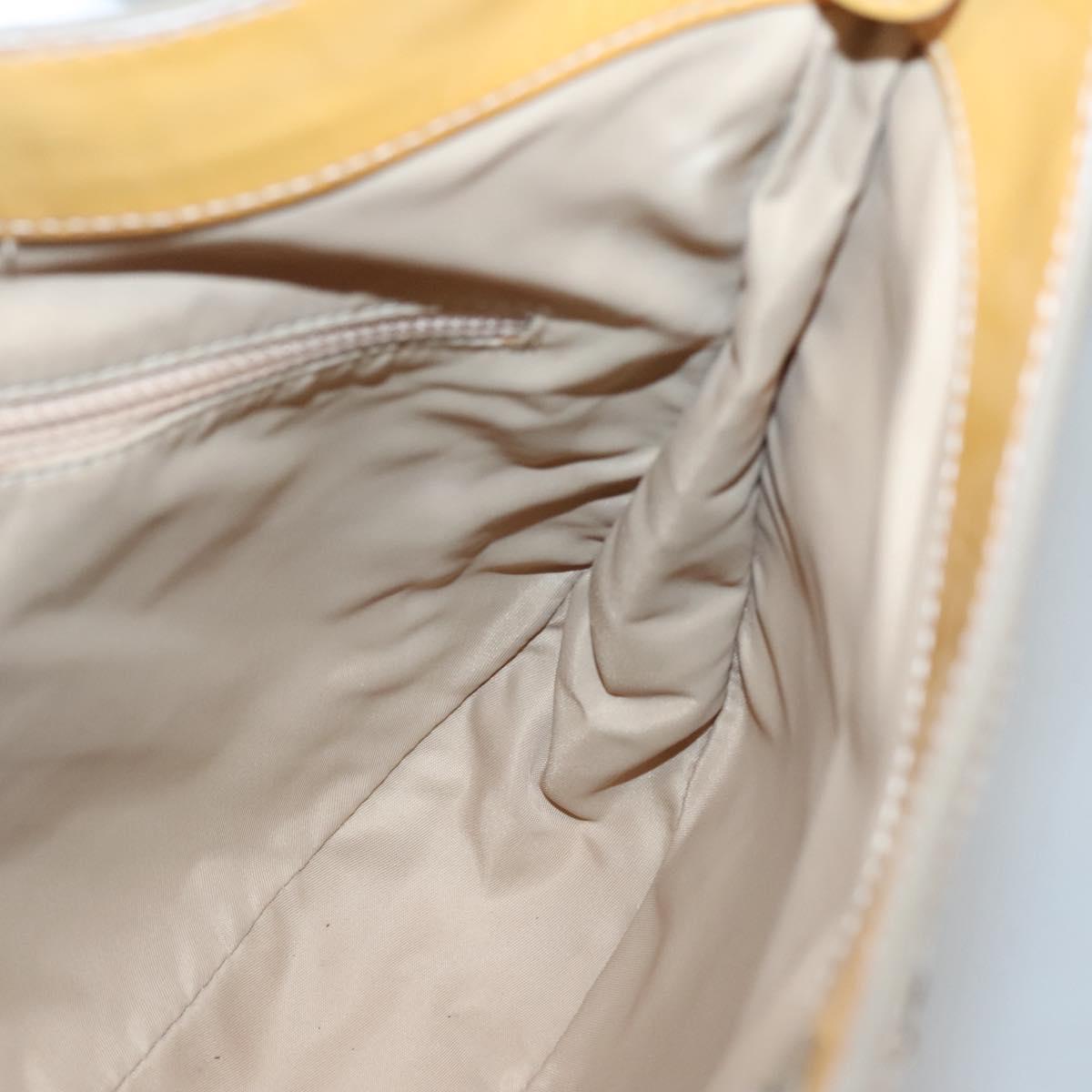 Dior Street Chic Hobo