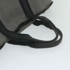Bottega Veneta Cabas