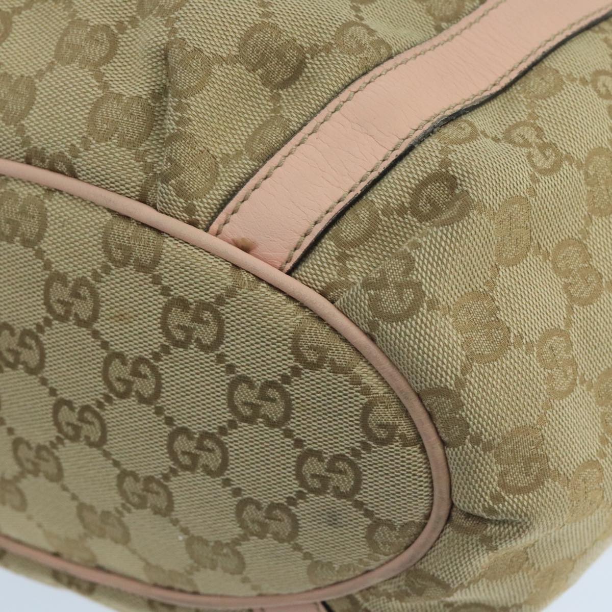 Gucci GG canvas