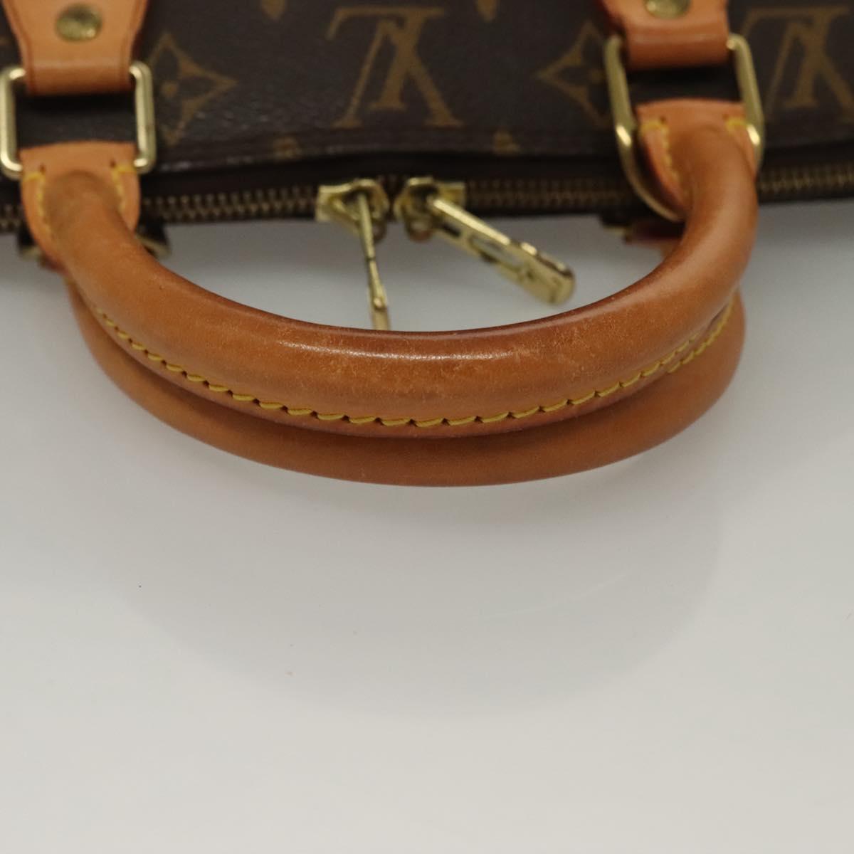 Louis Vuitton Alma