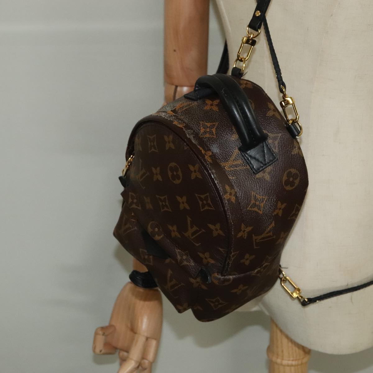 Louis Vuitton Palm Springs mini