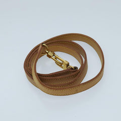 Louis Vuitton Pochette Accessoire