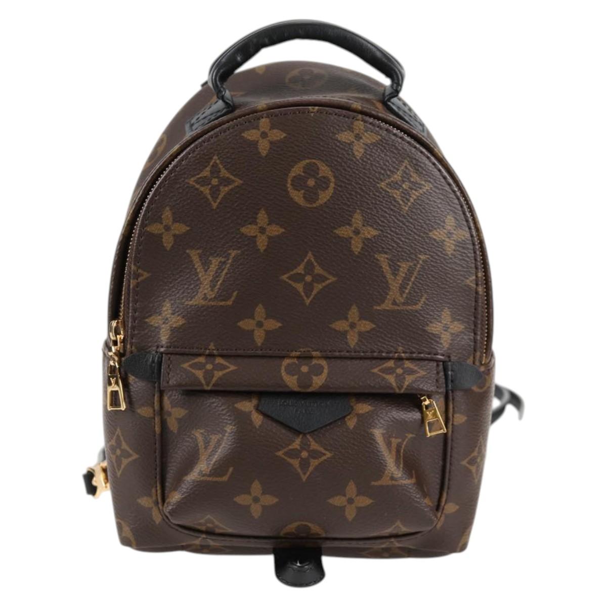 Louis Vuitton Palm Springs mini