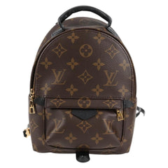 Louis Vuitton Palm Springs mini