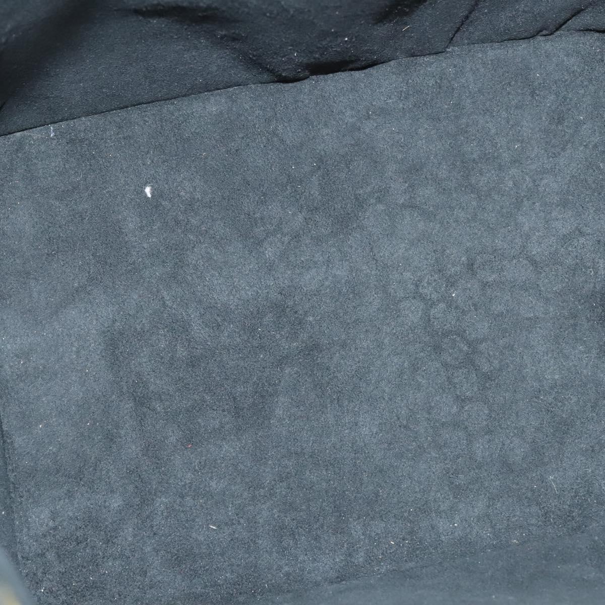 Louis Vuitton Petit Noé