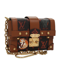 Louis Vuitton Trunk