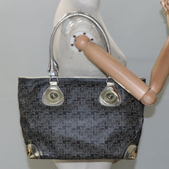 Céline Horse carriage