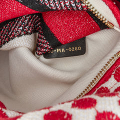 Medium Canvas DiorAmour Dots Lady D Lite