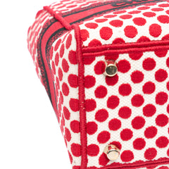 Medium Canvas DiorAmour Dots Lady D Lite