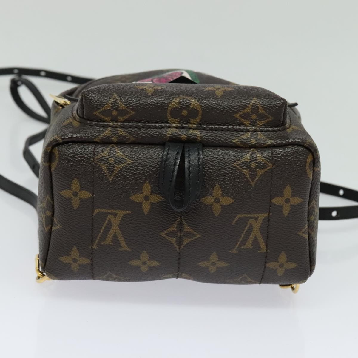 Louis Vuitton Palm Springs mini