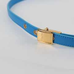 Dior Bobby medium