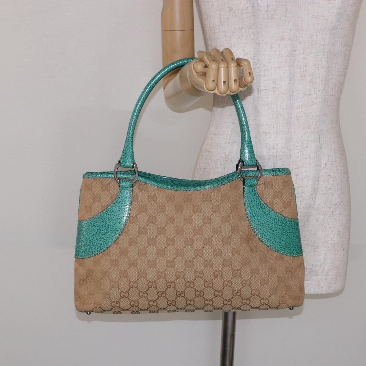 Gucci GG canvas