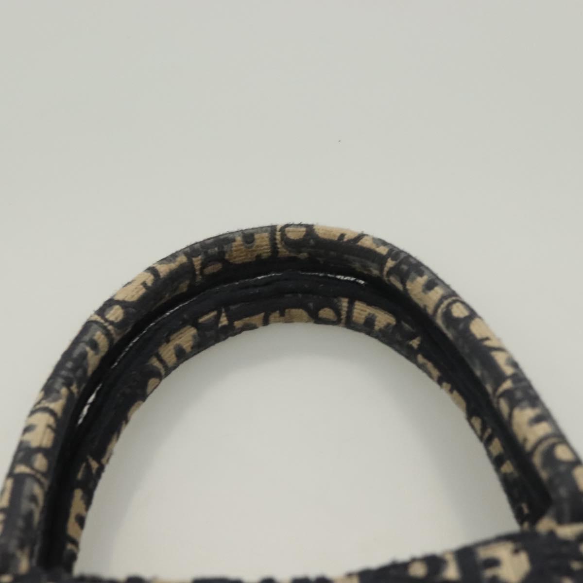 Dior Book Tote