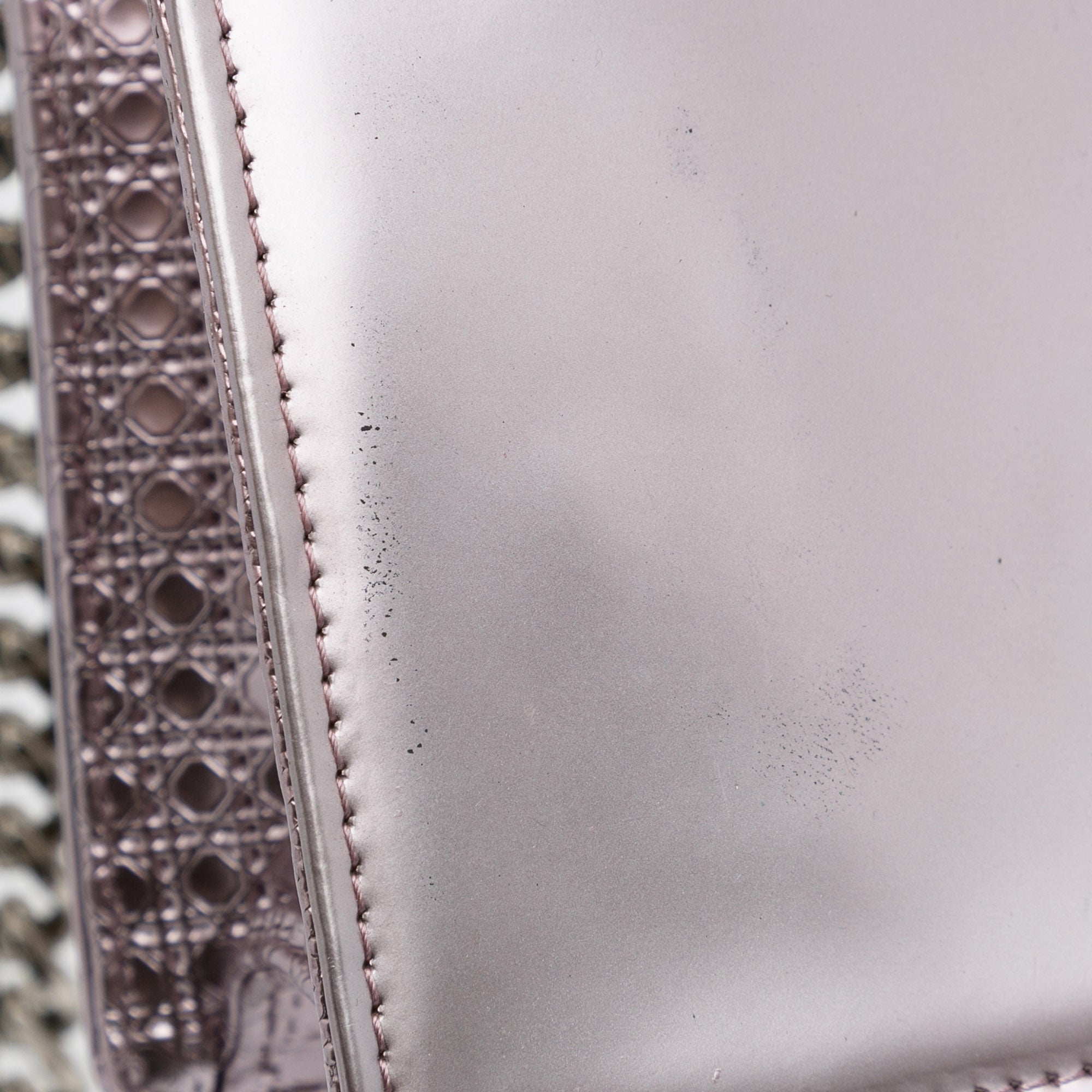 Patent Microcannage Diorama Crossbody Bag