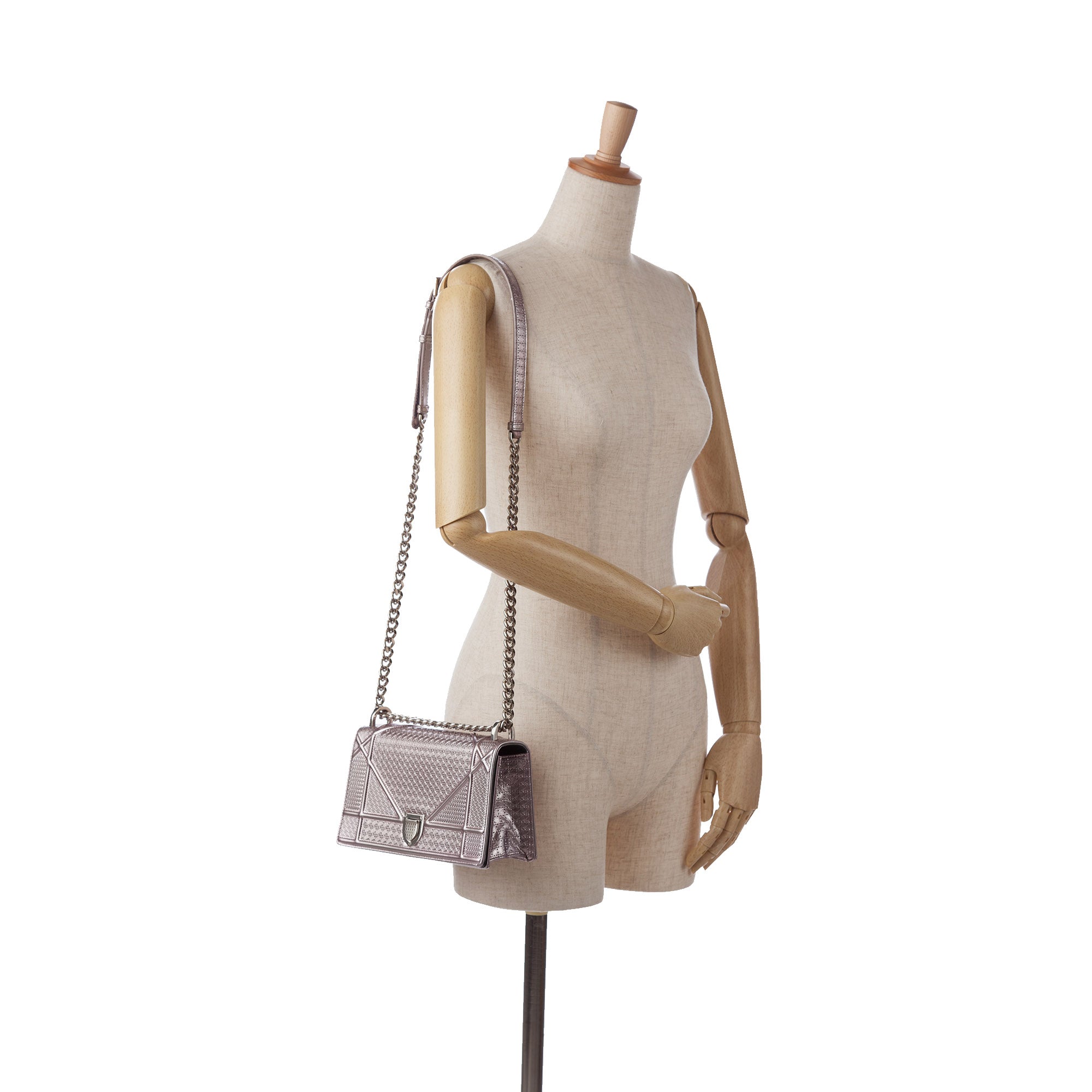Patent Microcannage Diorama Crossbody Bag