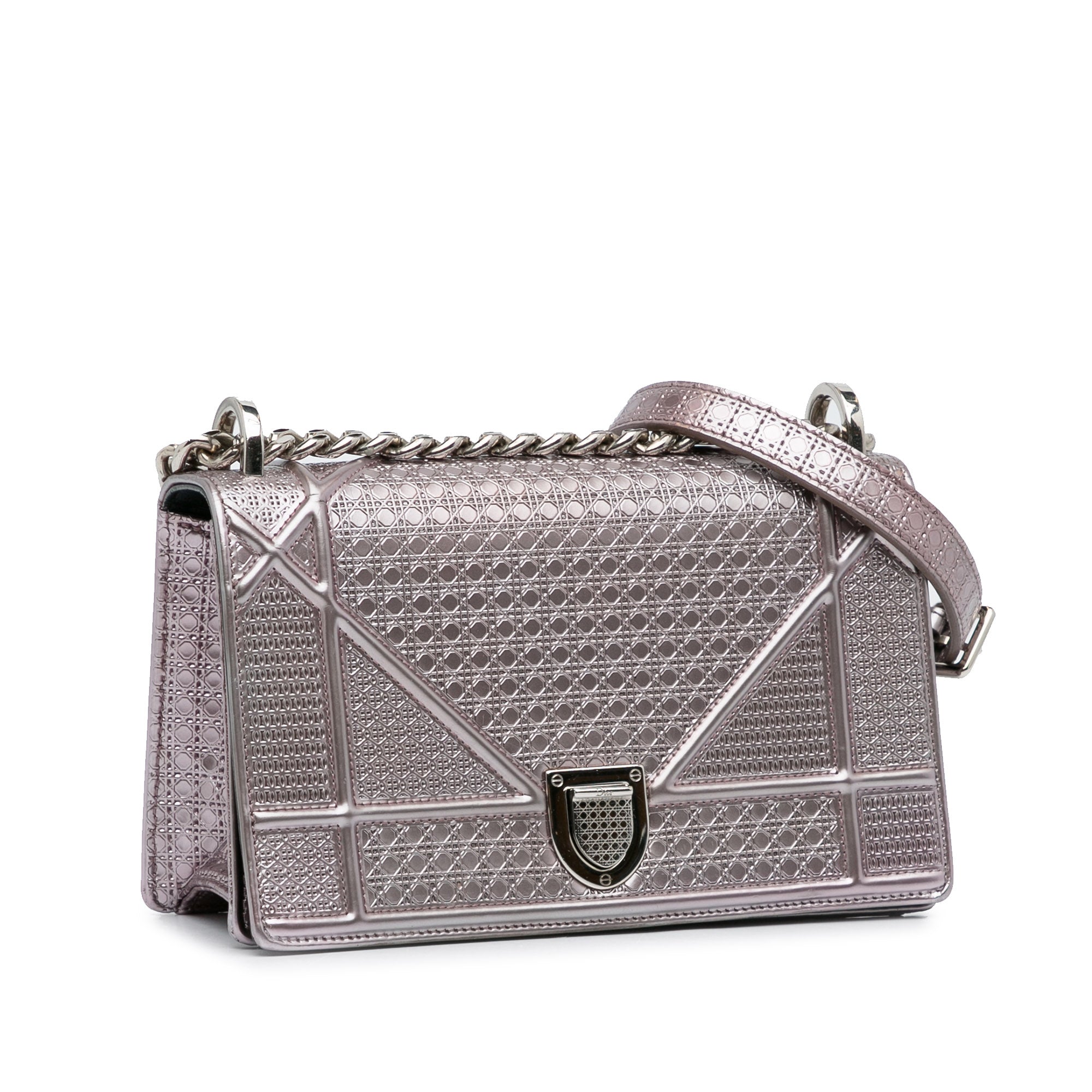Patent Microcannage Diorama Crossbody Bag