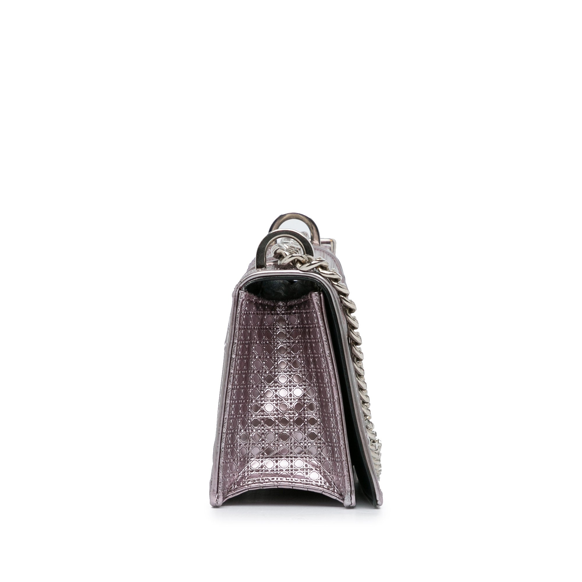 Patent Microcannage Diorama Crossbody Bag