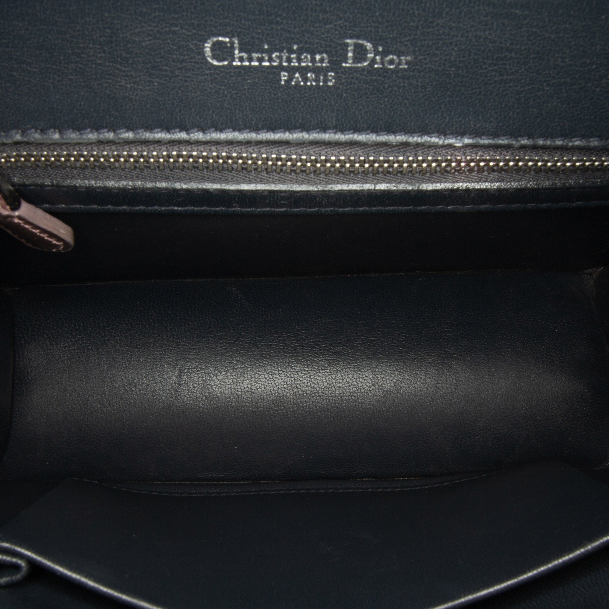 Patent Microcannage Diorama Crossbody Bag