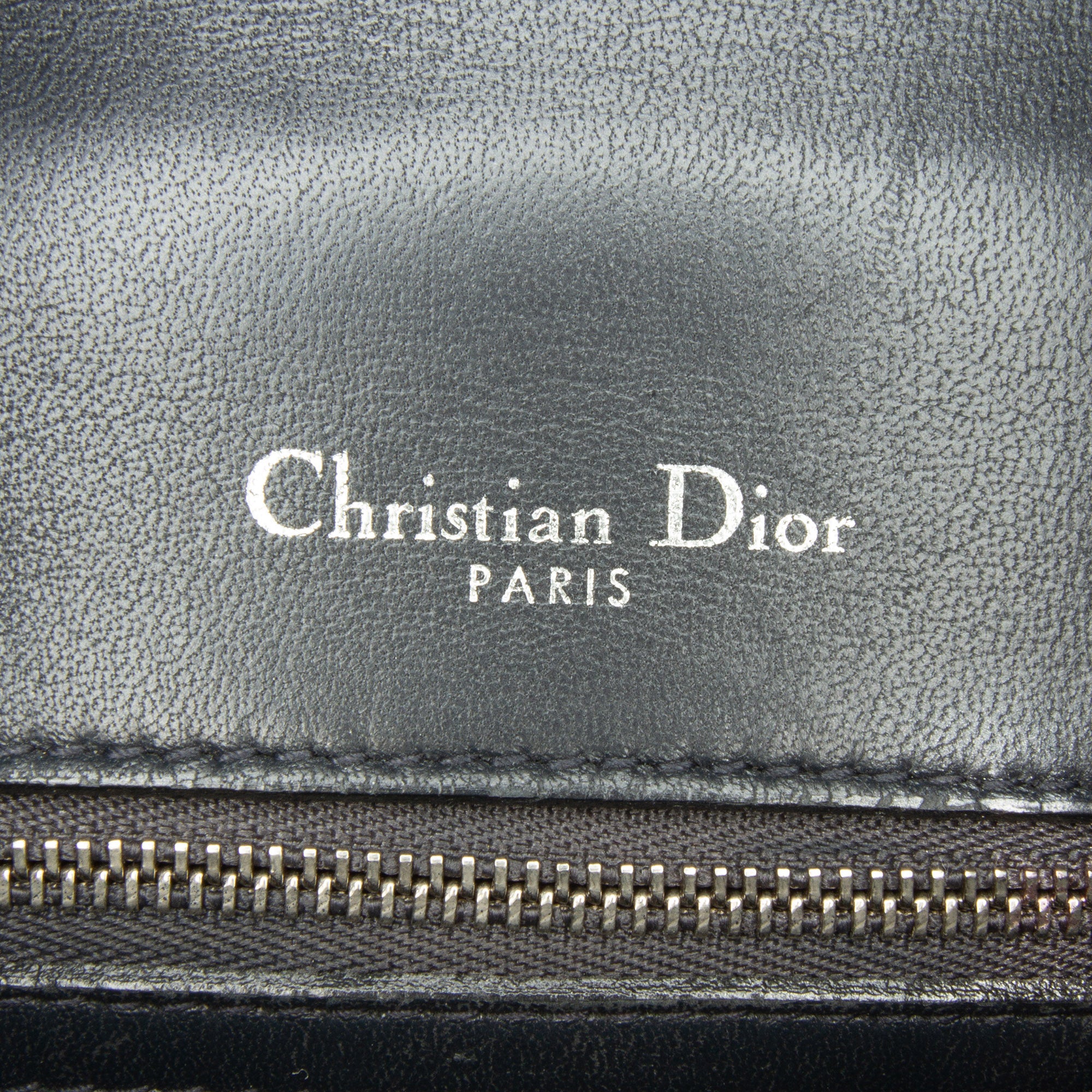 Patent Microcannage Diorama Crossbody Bag