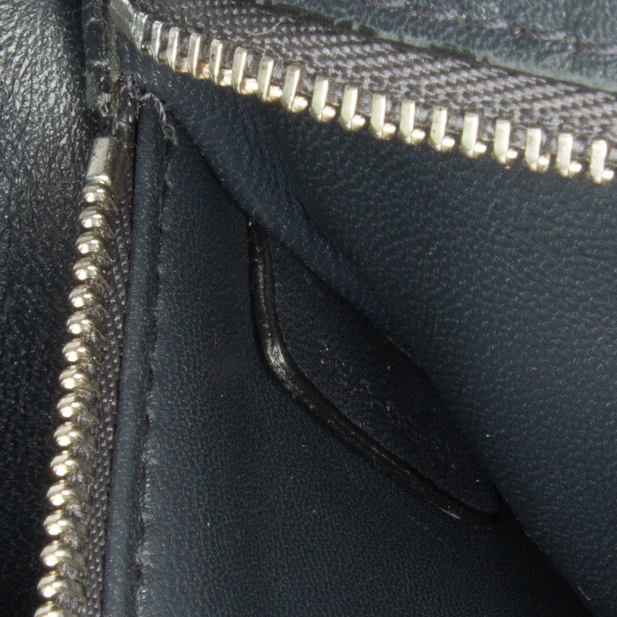 Patent Microcannage Diorama Crossbody Bag