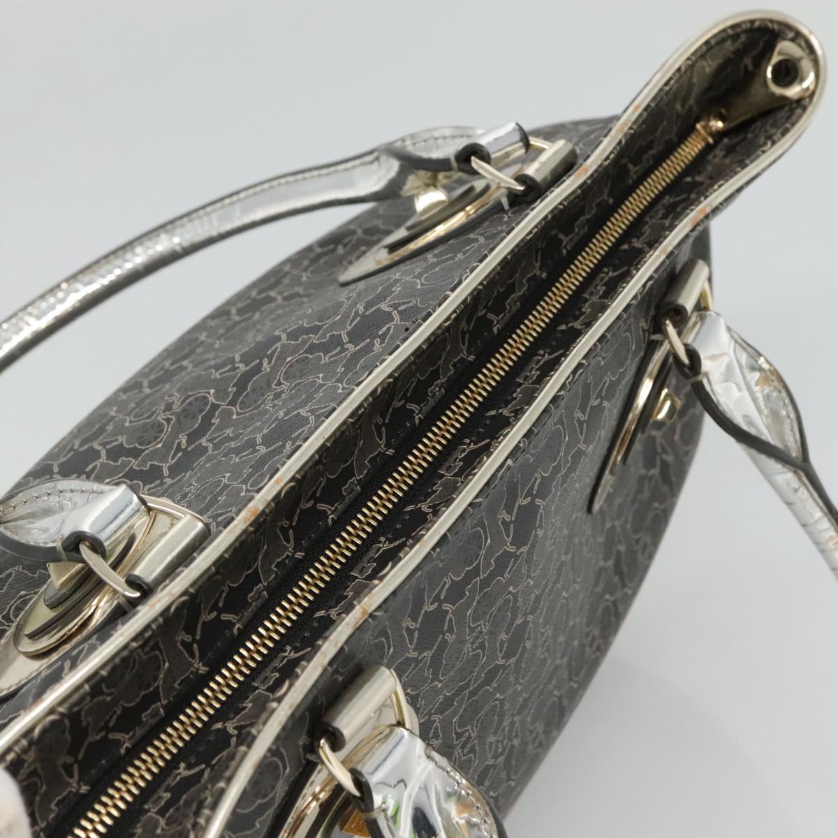 Céline Horse carriage