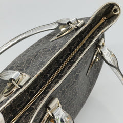 Céline Horse carriage