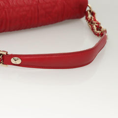 Dior Cannage Lady