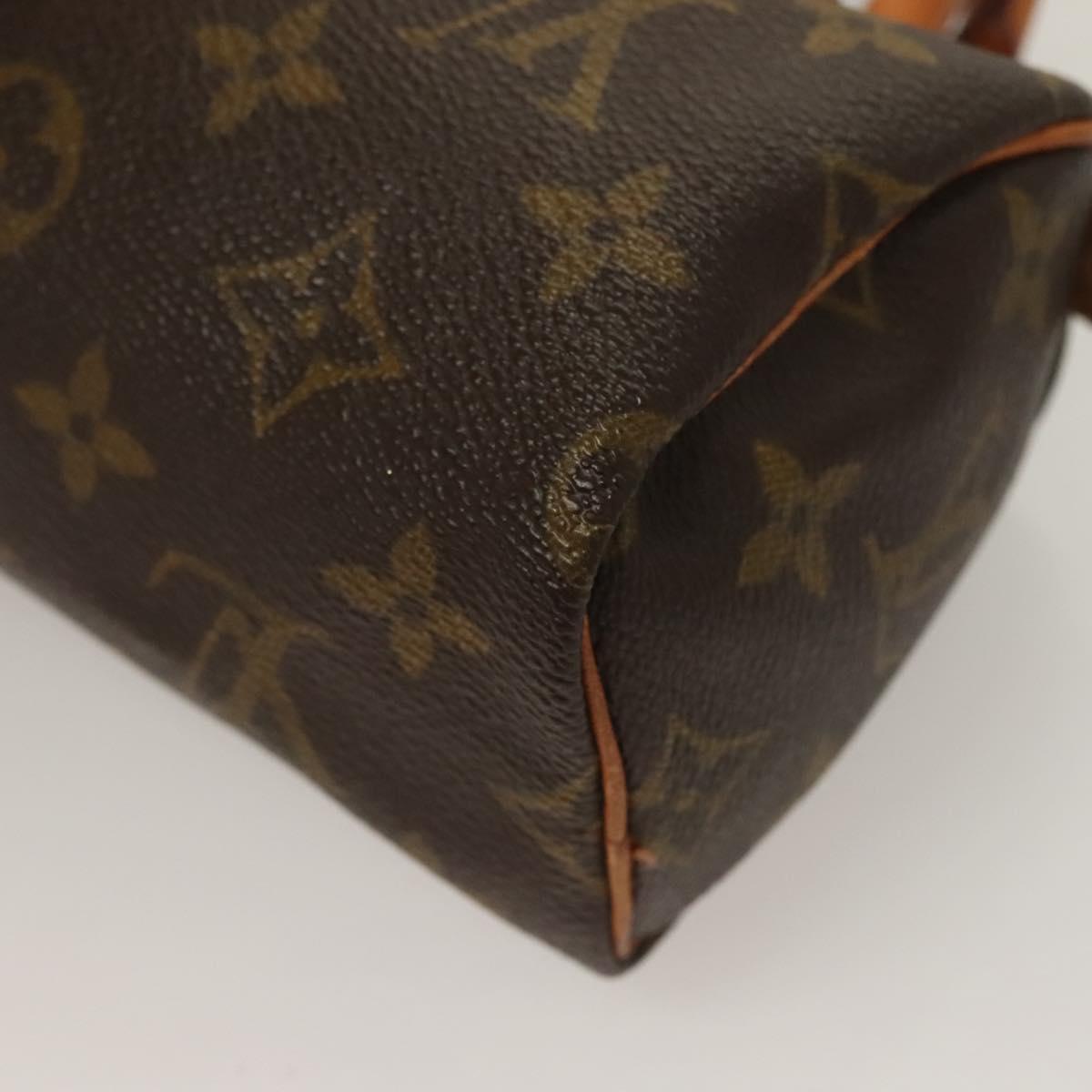 Louis Vuitton Mini speedy