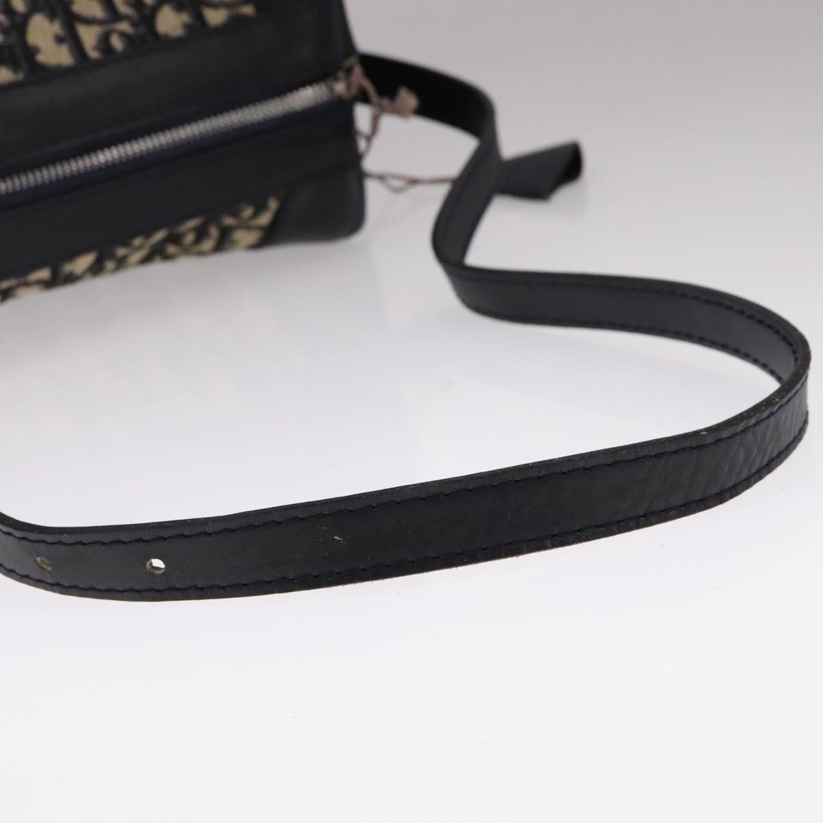 Dior Trotter