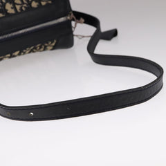 Dior Trotter